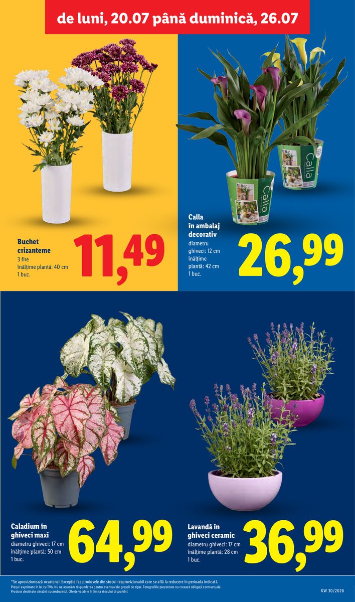 Lidl catalog page 53 — 2026-07-20 to 2026-07-26