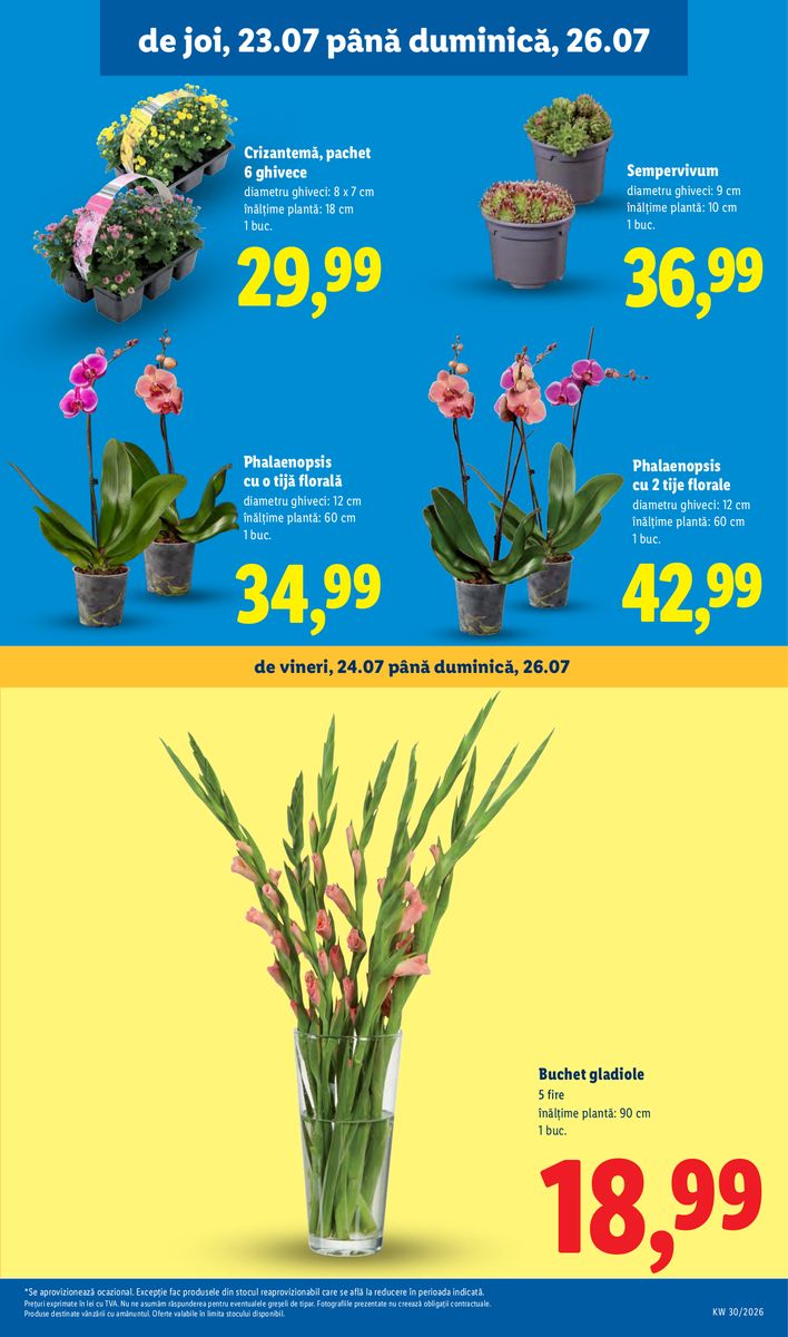 Lidl catalog page 55 — 2026-07-20 to 2026-07-26