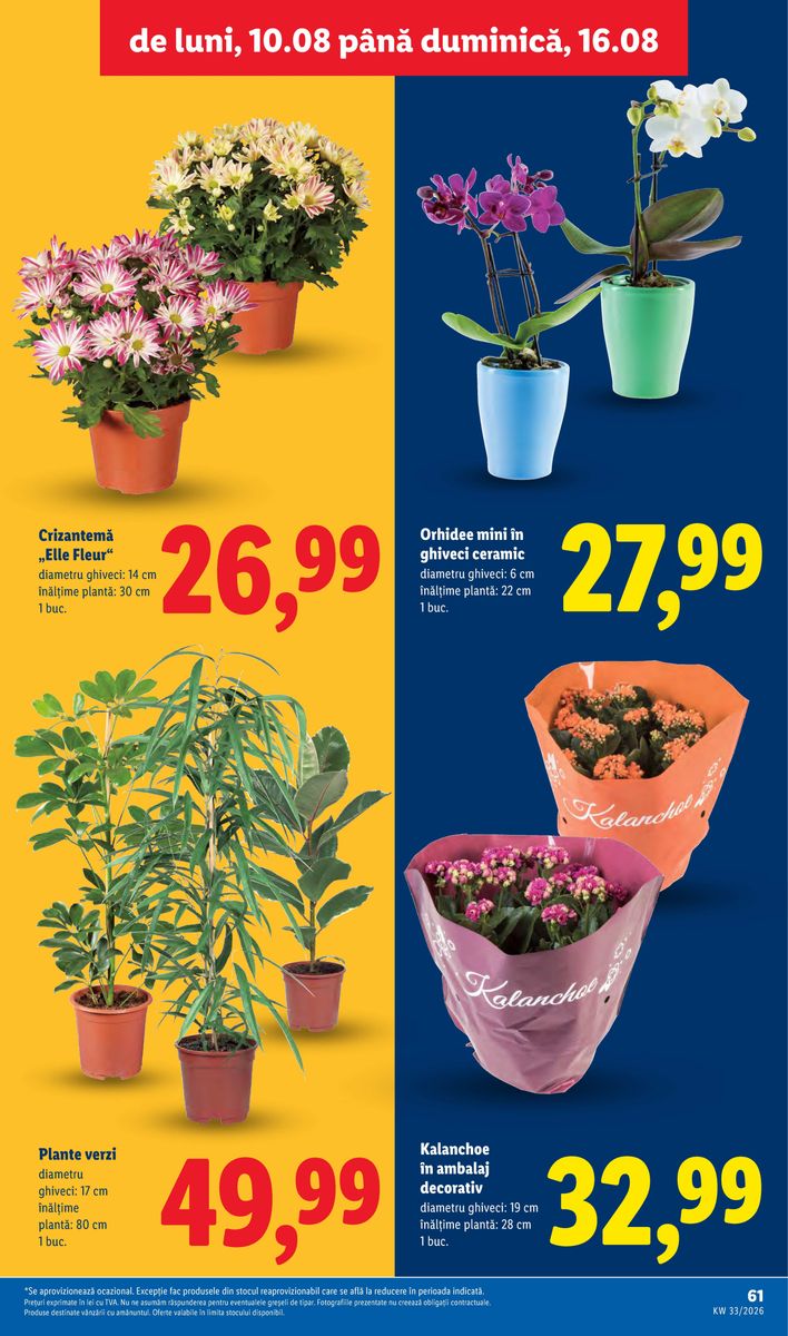 Lidl catalog page 61 — 2026-08-10 to 2026-08-16