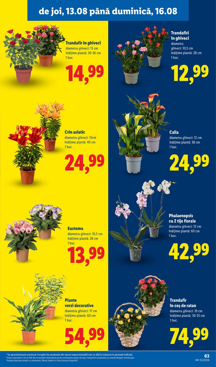 Lidl catalog page 63 — 2026-08-10 to 2026-08-16