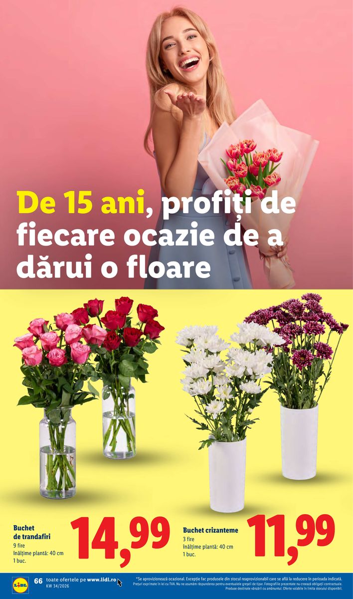 Lidl catalog page 66 — 2026-08-17 to 2026-08-23