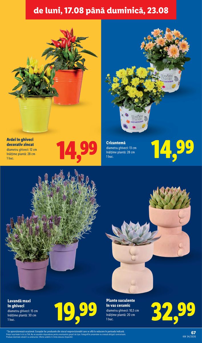 Lidl catalog page 67 — 2026-08-17 to 2026-08-23