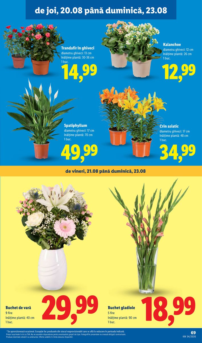 Lidl catalog page 69 — 2026-08-17 to 2026-08-23
