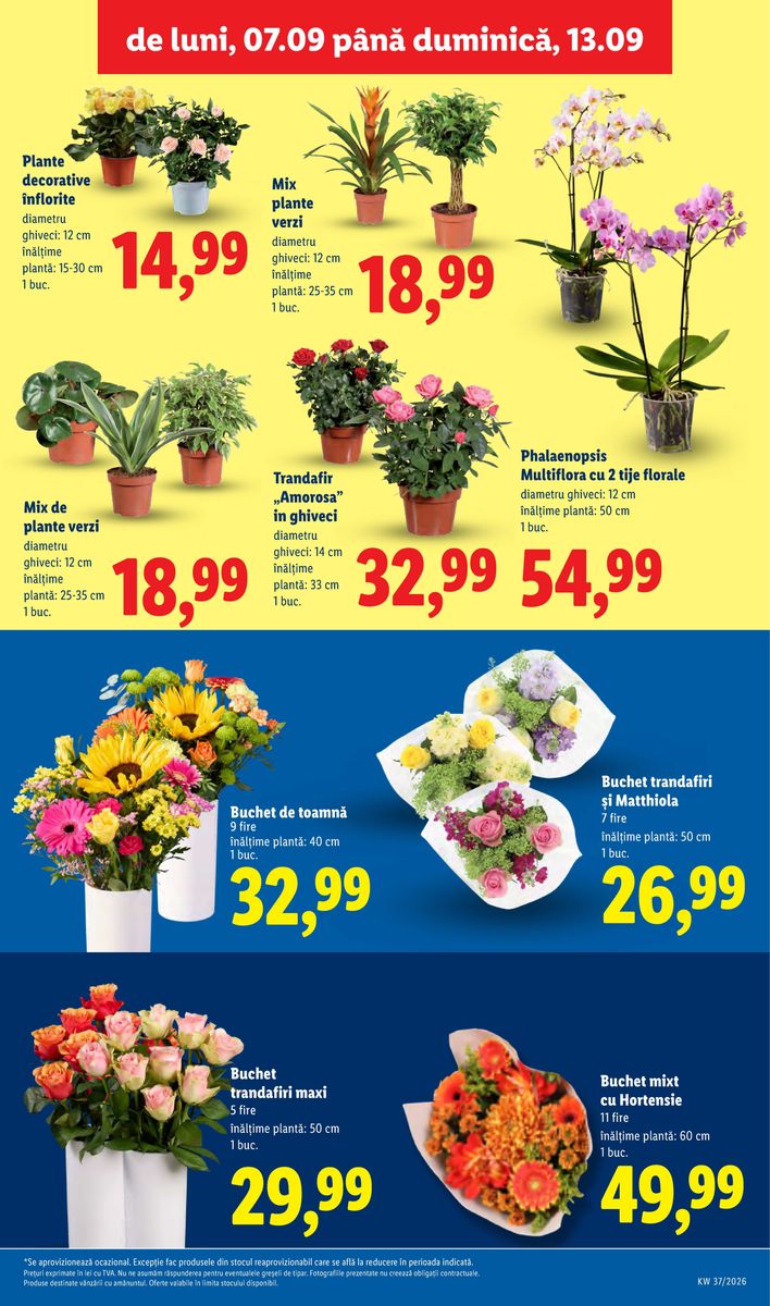 Lidl catalog page 47 — 2026-09-07 to 2026-09-13
