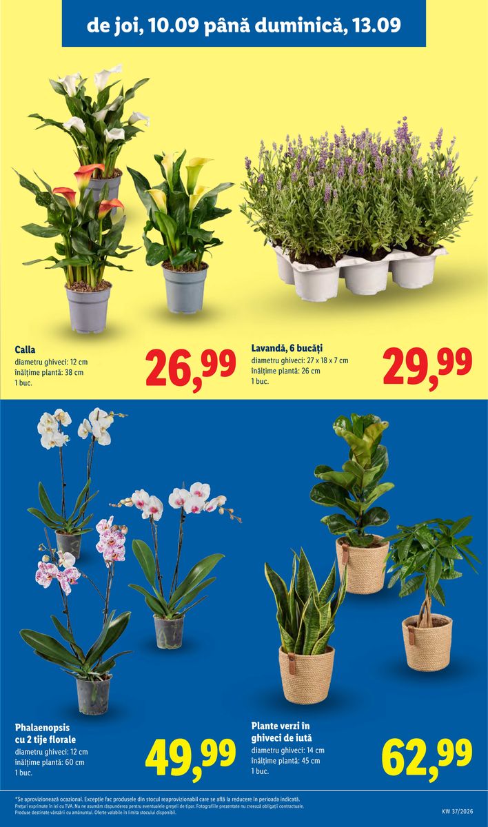 Lidl catalog page 49 — 2026-09-07 to 2026-09-13