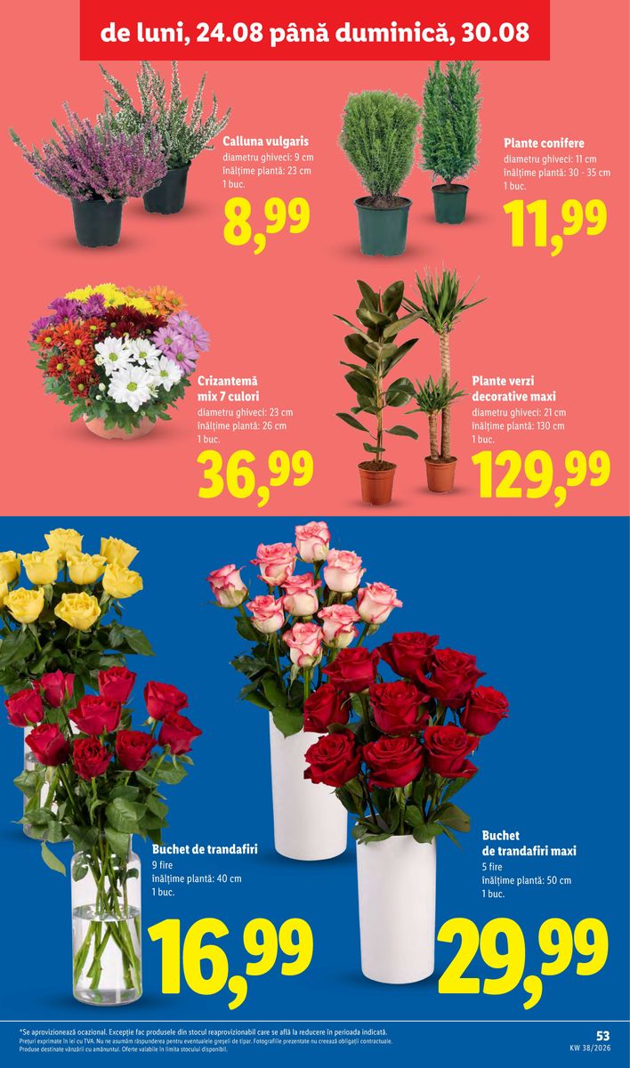 Lidl catalog page 53 — 2026-09-14 to 2026-09-20