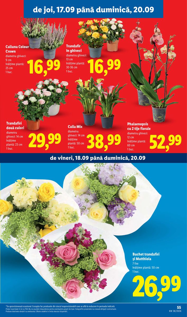 Lidl catalog page 55 — 2026-09-14 to 2026-09-20