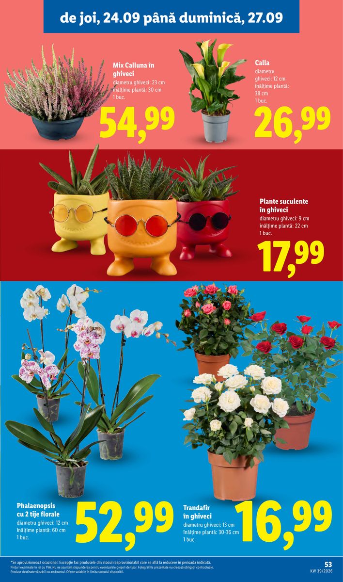 Lidl catalog page 53 — 2026-09-21 to 2026-09-27