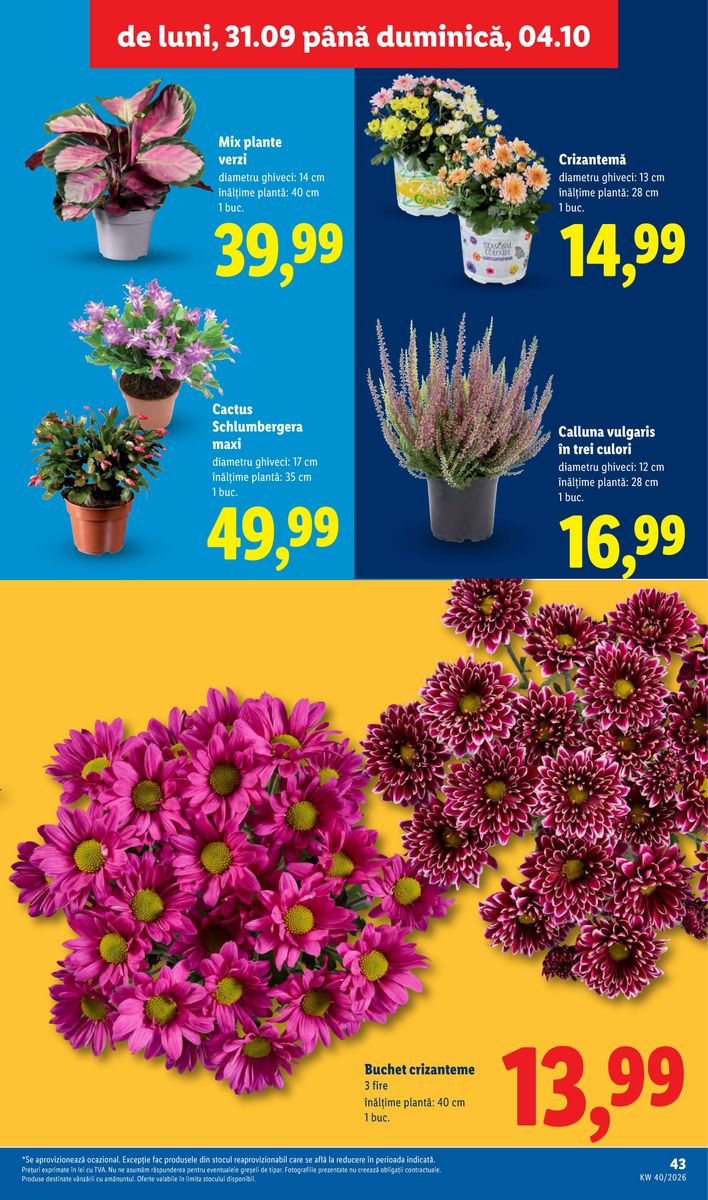 Lidl catalog page 43 — 2026-09-28 to 2026-10-04