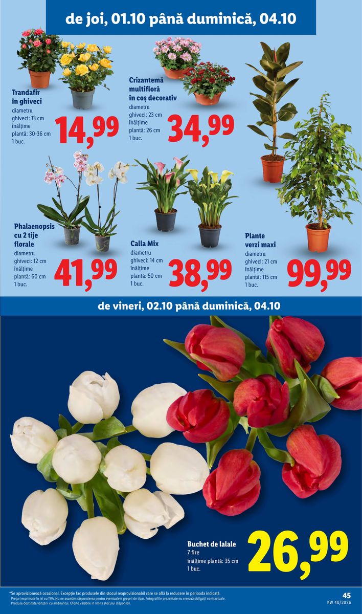 Lidl catalog page 45 — 2026-09-28 to 2026-10-04