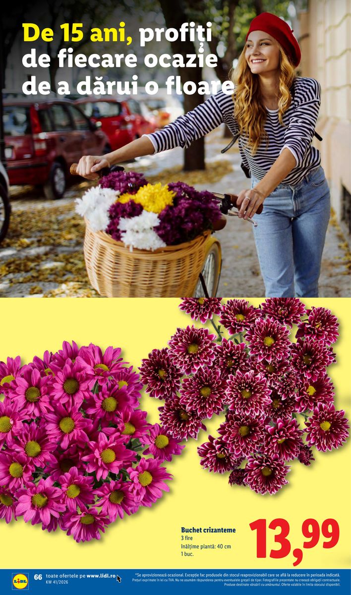Lidl catalog page 66 — 2026-10-05 to 2026-10-11