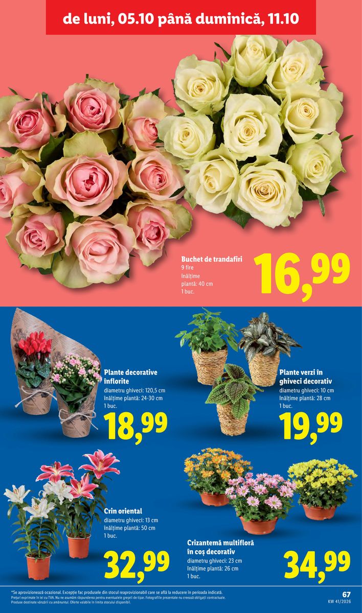 Lidl catalog page 67 — 2026-10-05 to 2026-10-11