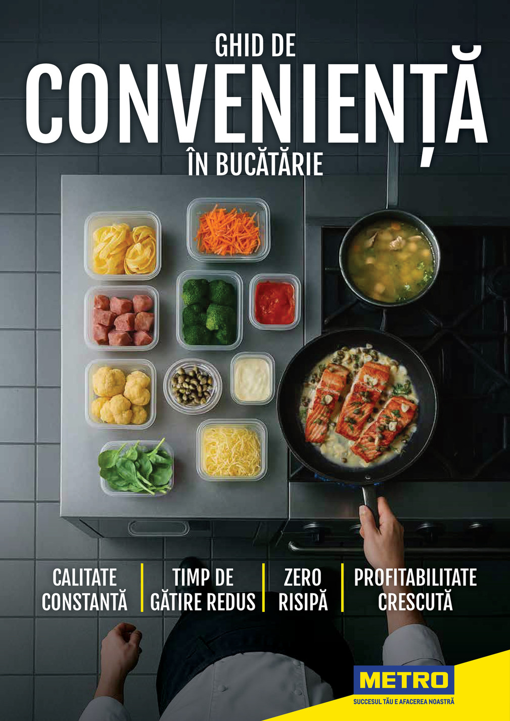Metro catalog 2024-11-14 to 2026-12-31