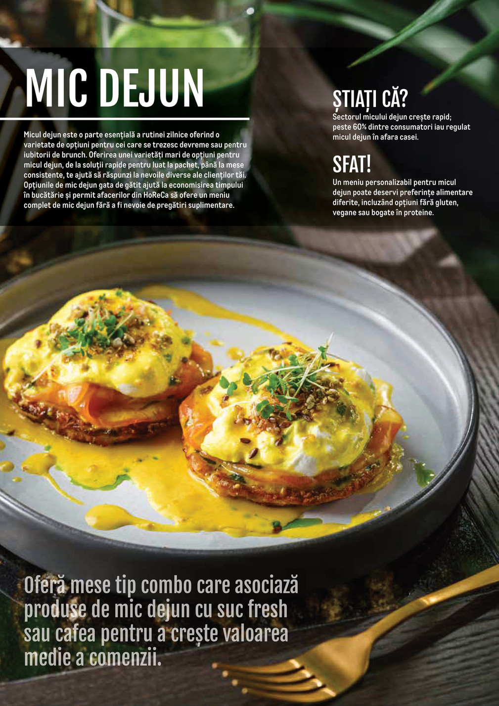 Metro catalog page 6 — 2024-11-14 to 2026-12-31