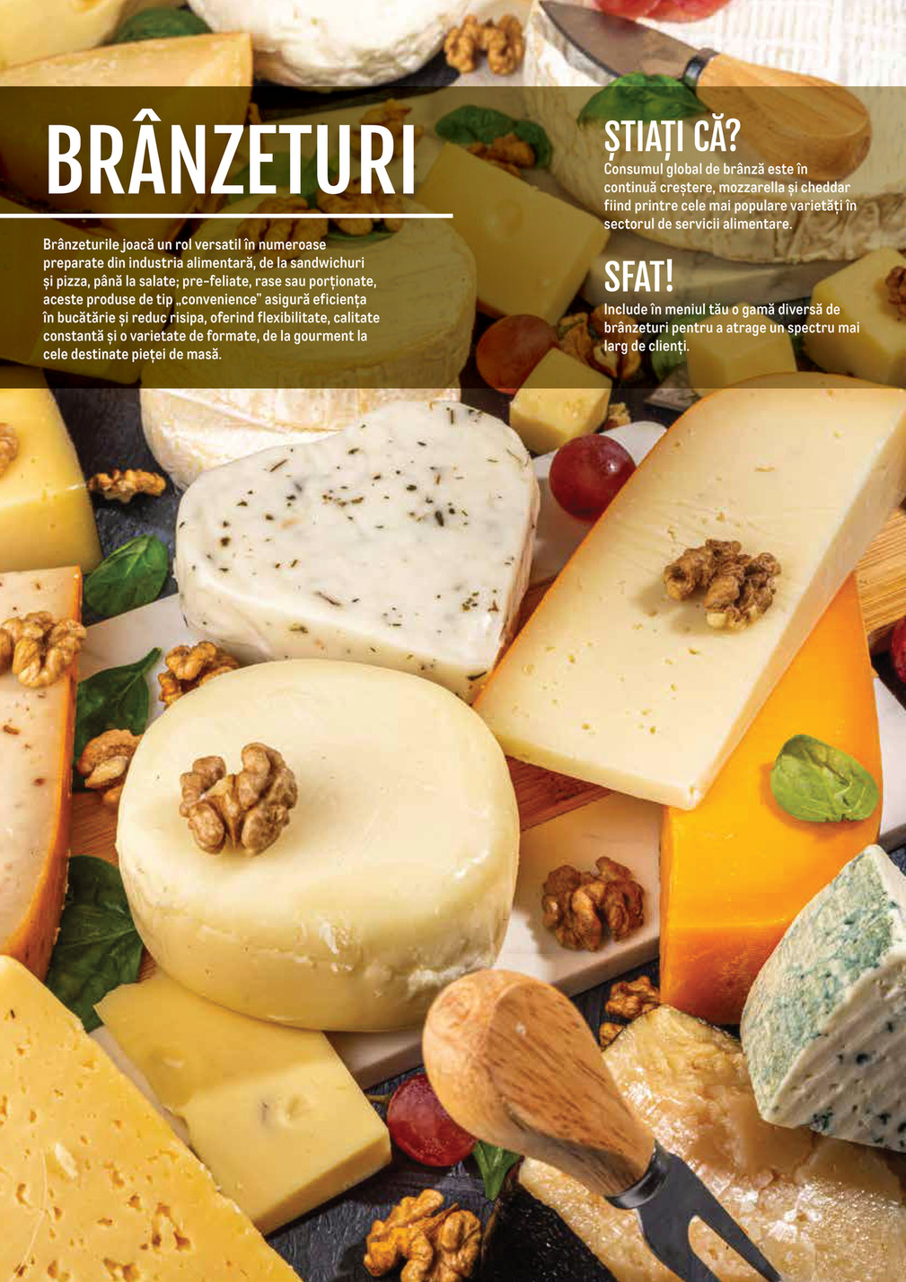 Metro catalog page 10 — 2024-11-14 to 2026-12-31
