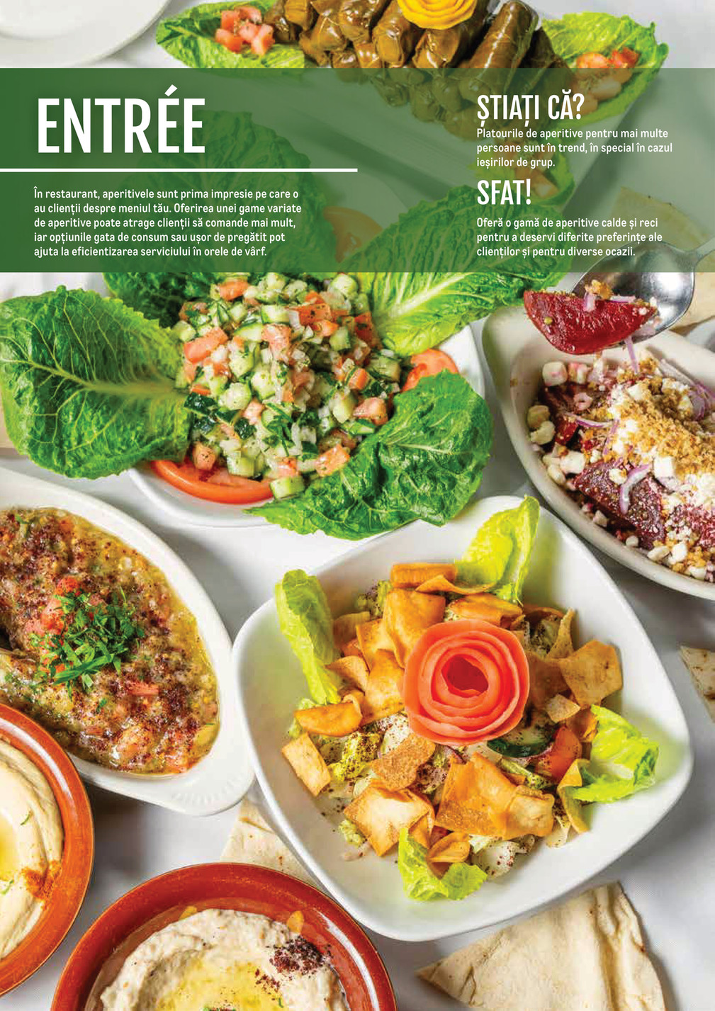 Metro catalog page 17 — 2024-11-14 to 2026-12-31