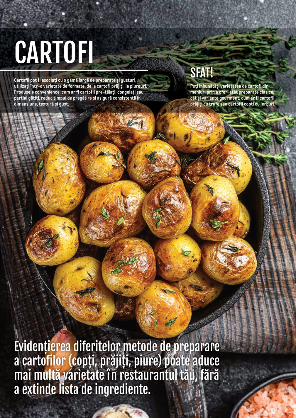 Metro catalog page 84 — 2024-11-14 to 2026-12-31
