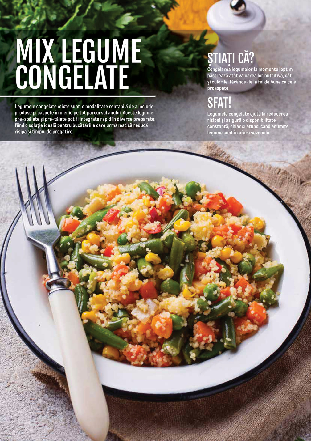 Metro catalog page 95 — 2024-11-14 to 2026-12-31