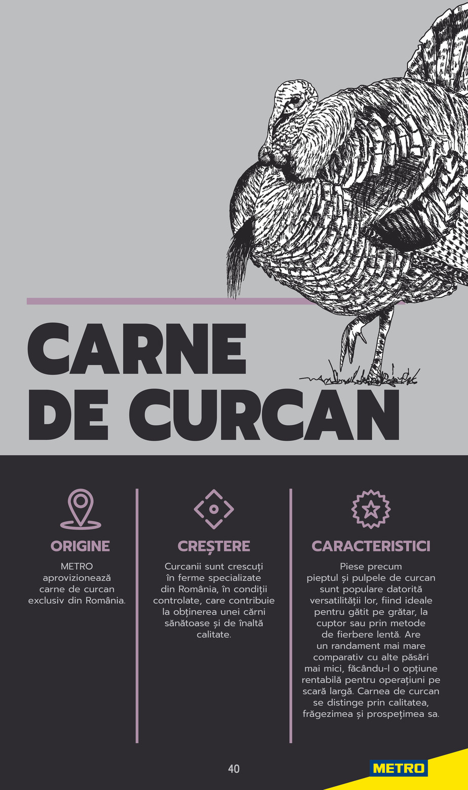 Metro catalog page 40 — 2025-06-03 to 2026-12-31