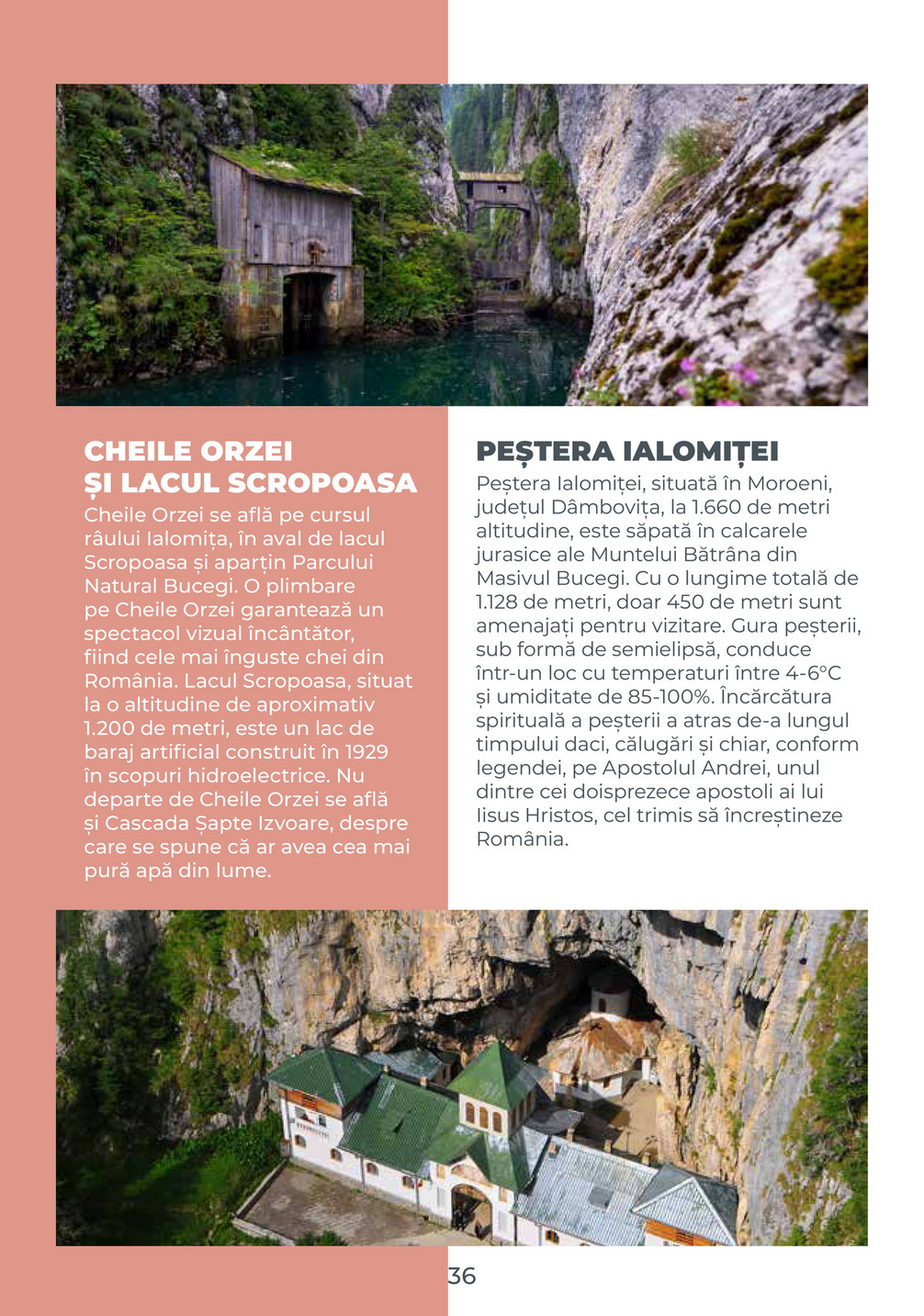 Metro catalog page 36 — 2025-08-04 to 2026-12-31