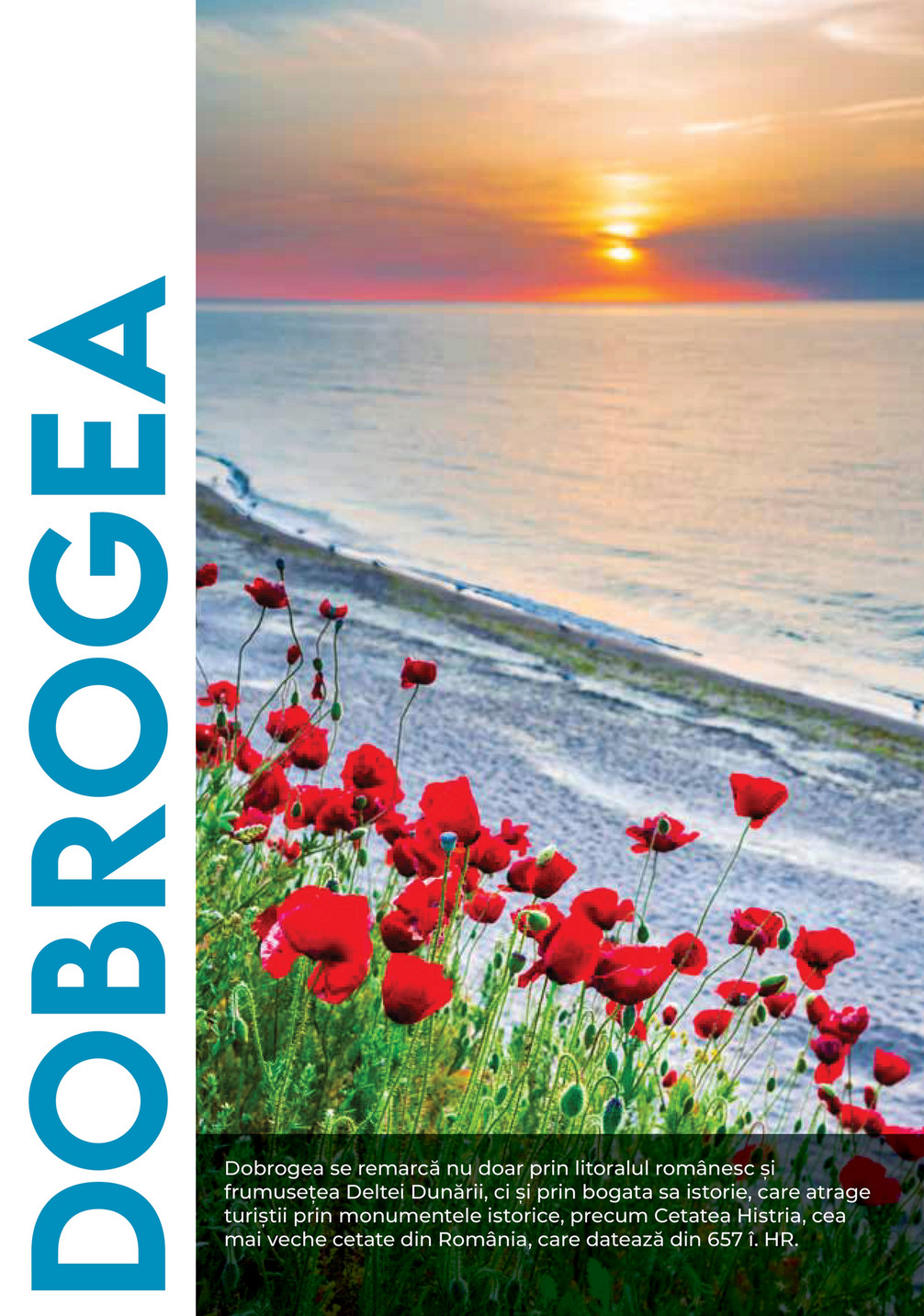 Metro catalog page 54 — 2025-08-04 to 2026-12-31