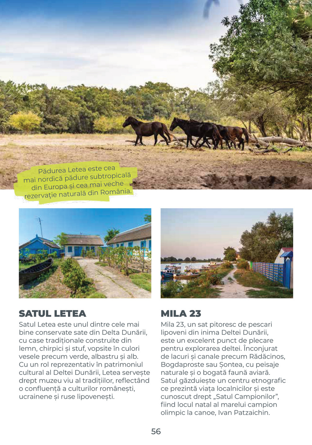 Metro catalog page 56 — 2025-08-04 to 2026-12-31
