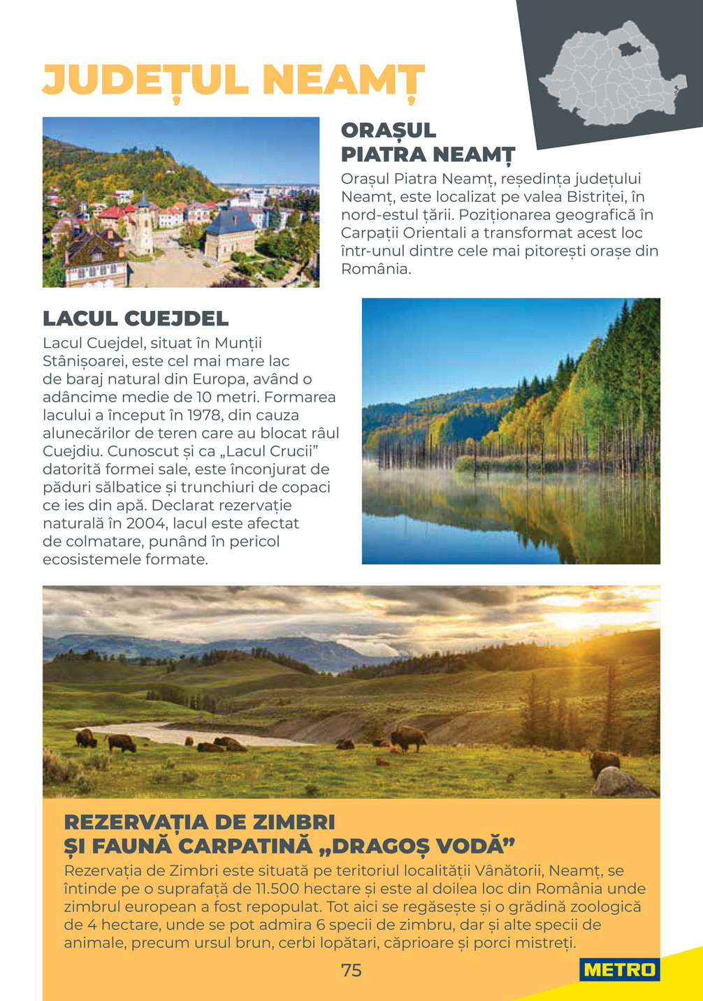 Metro catalog page 75 — 2025-08-04 to 2026-12-31