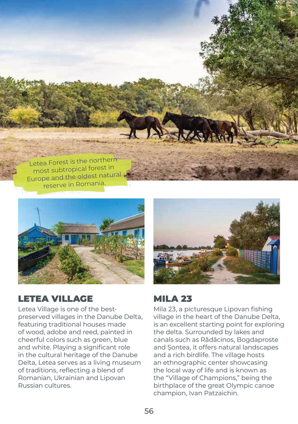 Metro catalog page 56 — 2025-10-06 to 2026-10-06