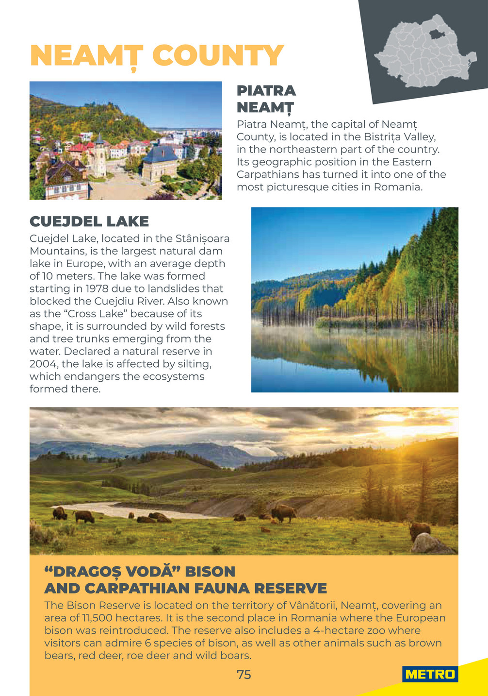 Metro catalog page 75 — 2025-10-06 to 2026-10-06