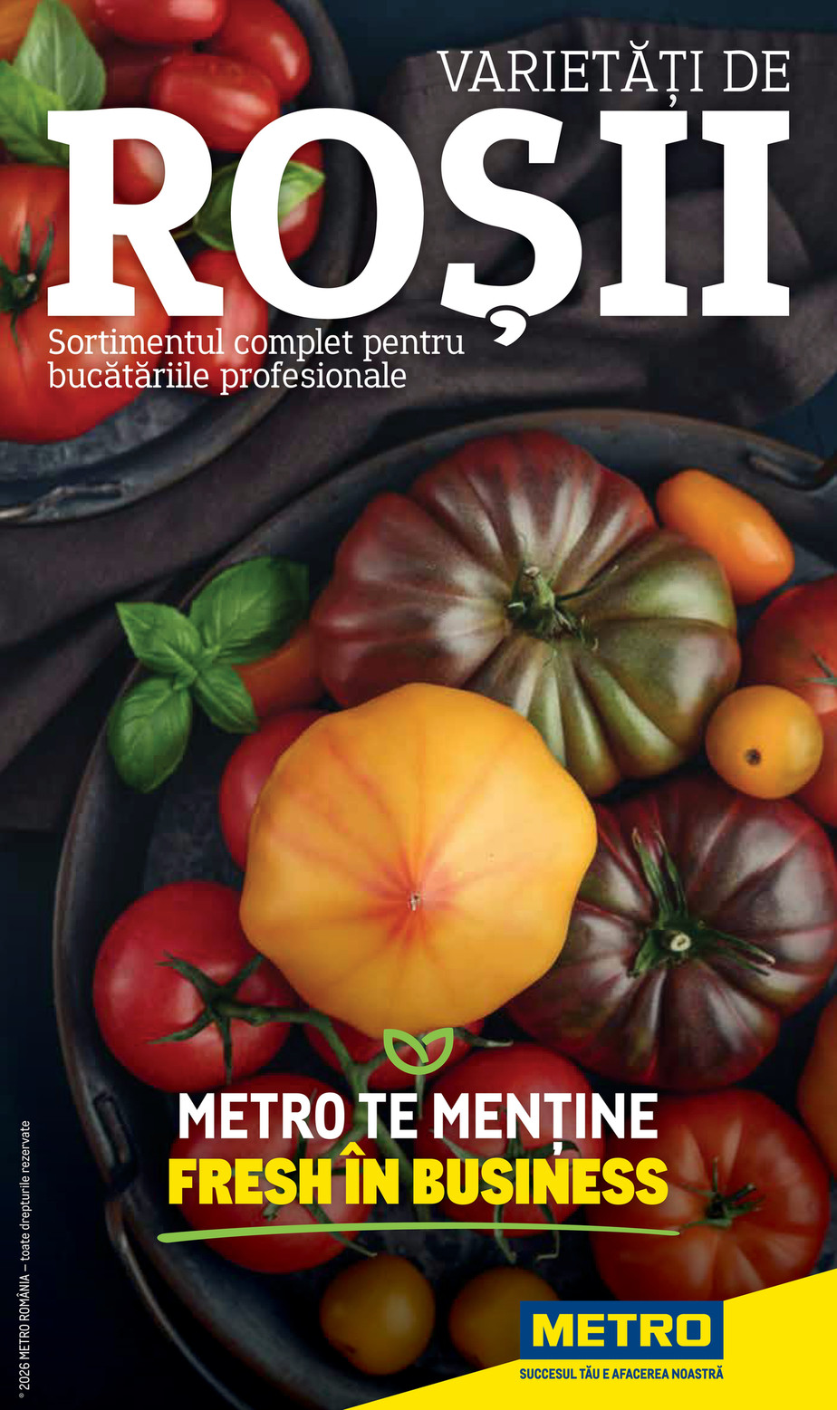 Metro catalog 2025-11-10 to 2026-12-31