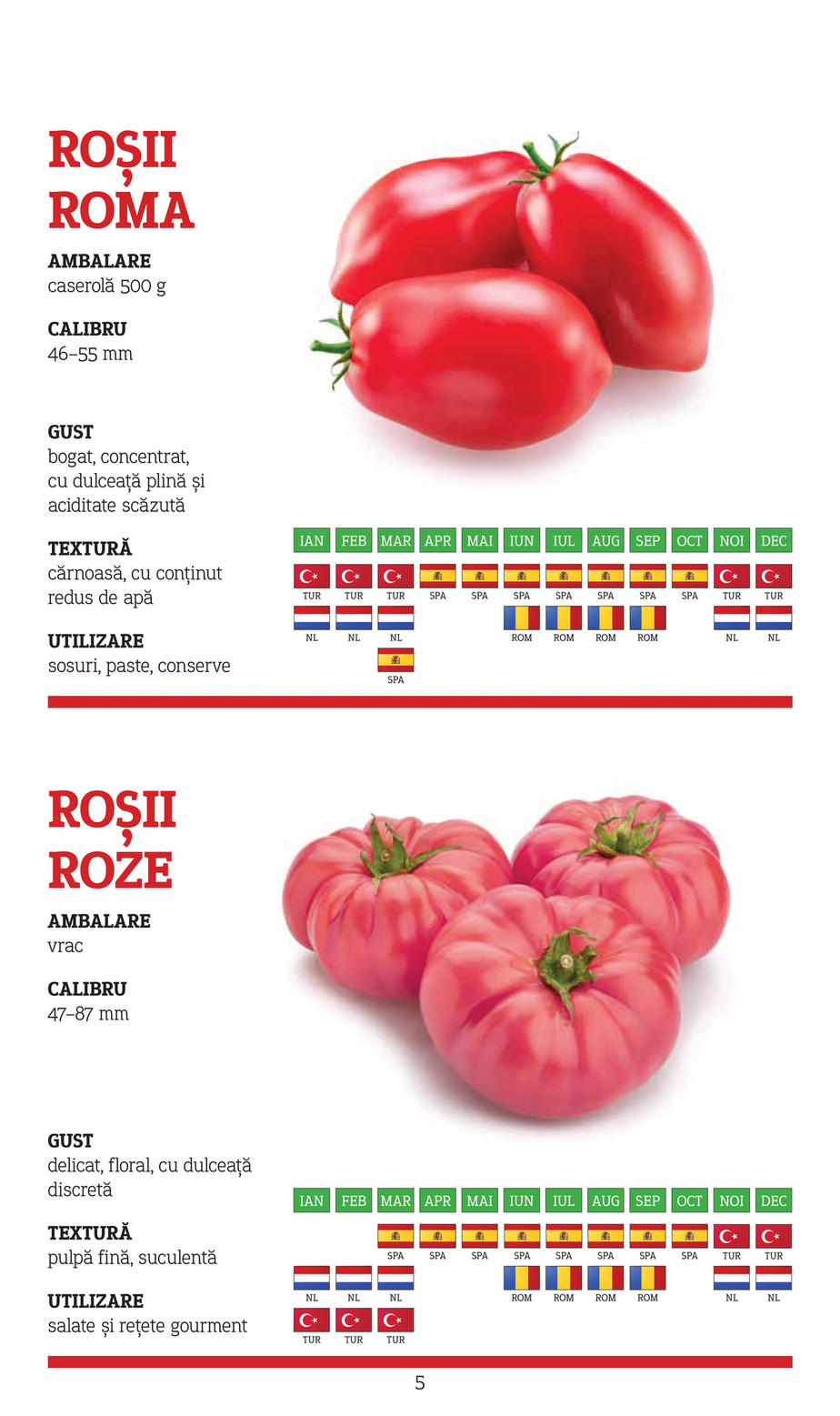 Metro catalog page 5 — 2025-11-10 to 2026-12-31