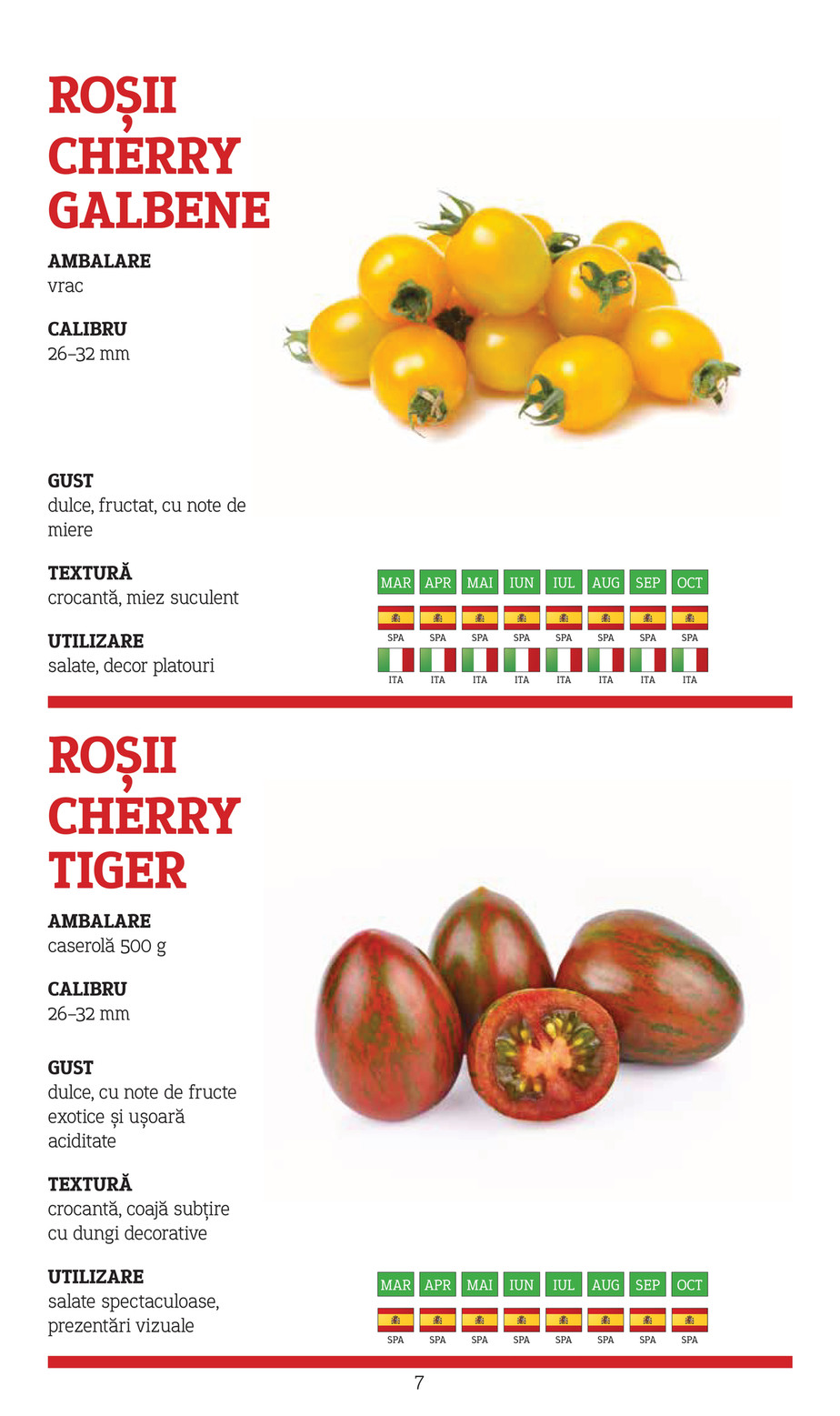 Metro catalog page 7 — 2025-11-10 to 2026-12-31