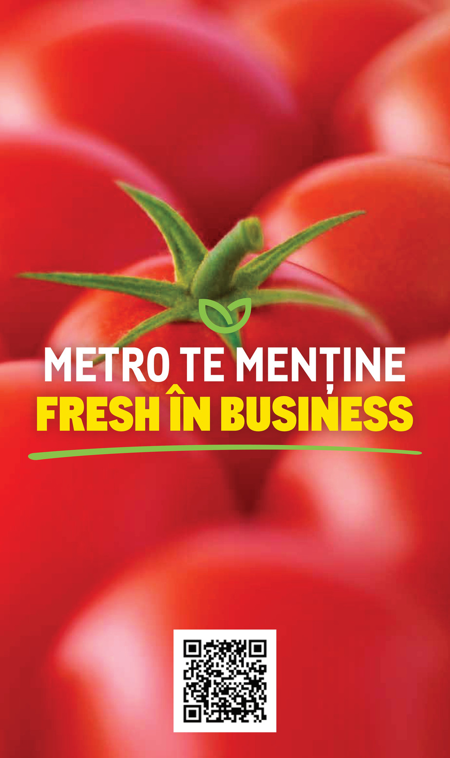 Metro catalog page 12 — 2025-11-10 to 2026-12-31