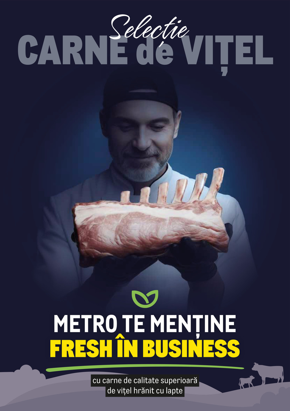 Metro catalog 2026-02-23 to 2026-12-31