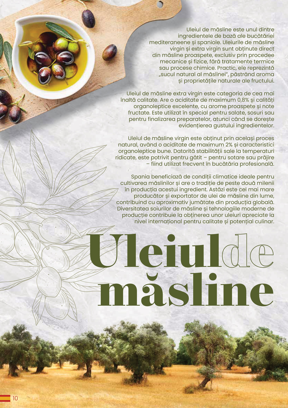 Metro catalog page 10 — 2026-03-30 to 2026-12-31