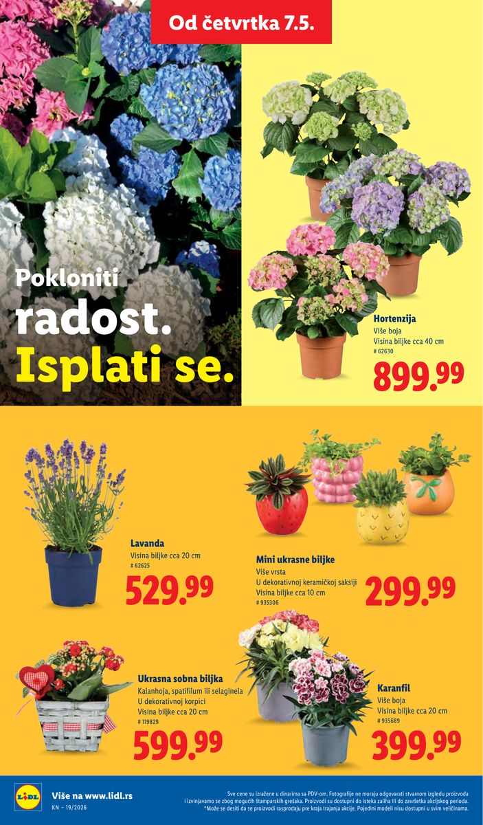 Lidl catalog page 66 — 2026-05-07 to 2026-05-13