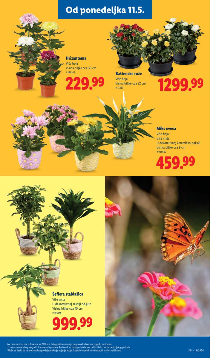 Lidl catalog page 67 — 2026-05-07 to 2026-05-13