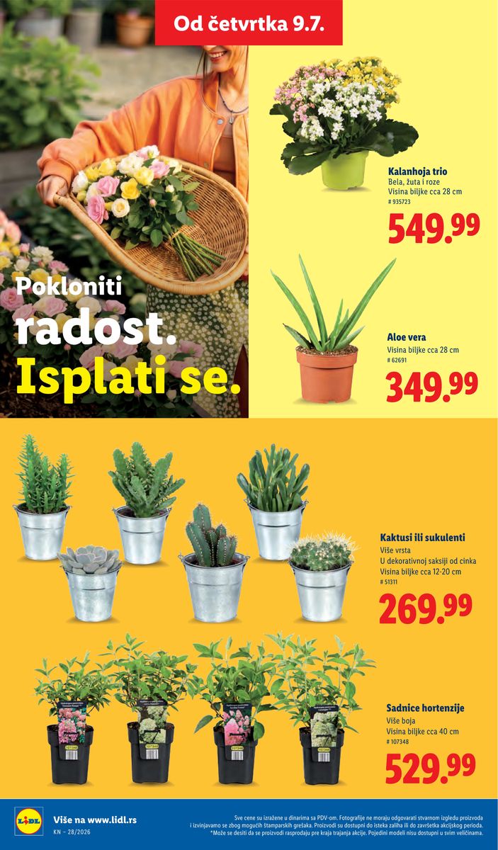 Lidl catalog page 62 — 2026-07-09 to 2026-07-15