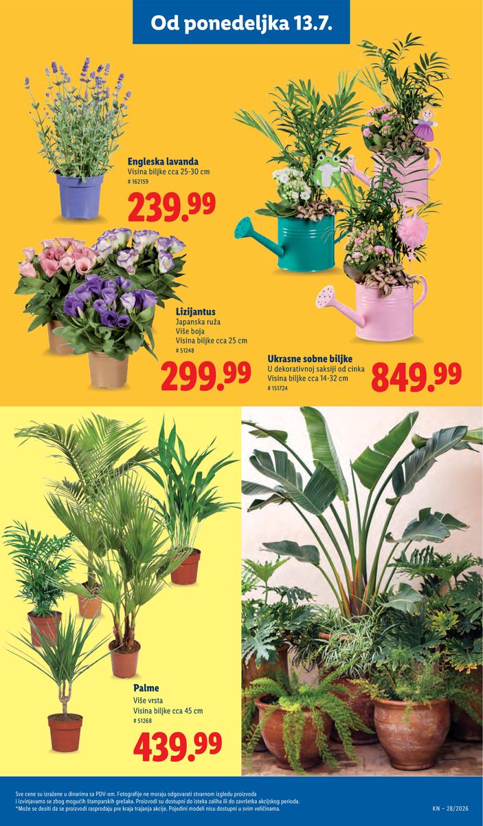 Lidl catalog page 63 — 2026-07-09 to 2026-07-15