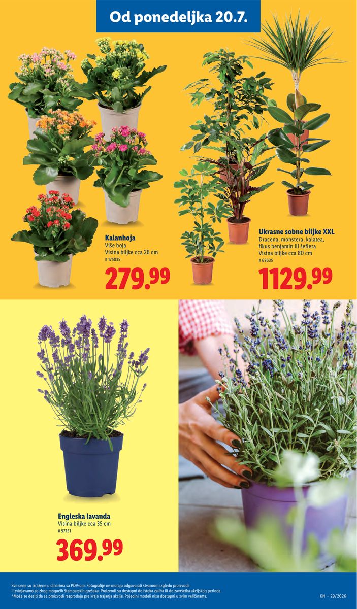 Lidl catalog page 75 — 2026-07-16 to 2026-07-22