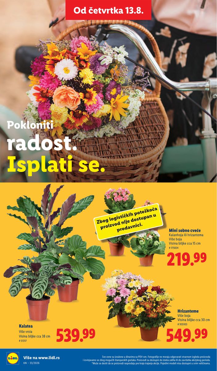 Lidl catalog page 74 — 2026-08-13 to 2026-08-19