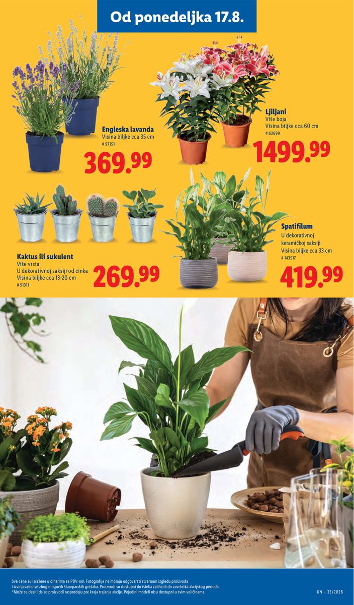 Lidl catalog page 75 — 2026-08-13 to 2026-08-19