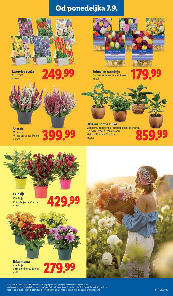 Lidl catalog page 83 — 2026-09-03 to 2026-09-09