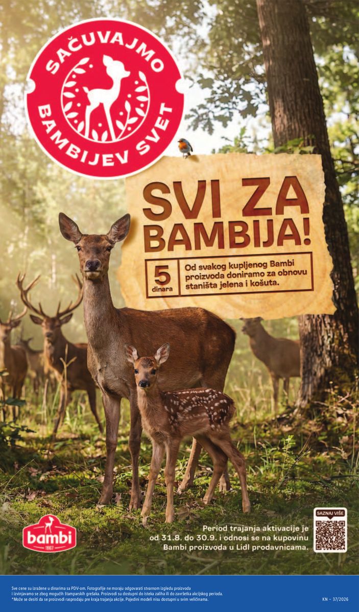 Lidl catalog page 53 — 2026-09-10 to 2026-09-16