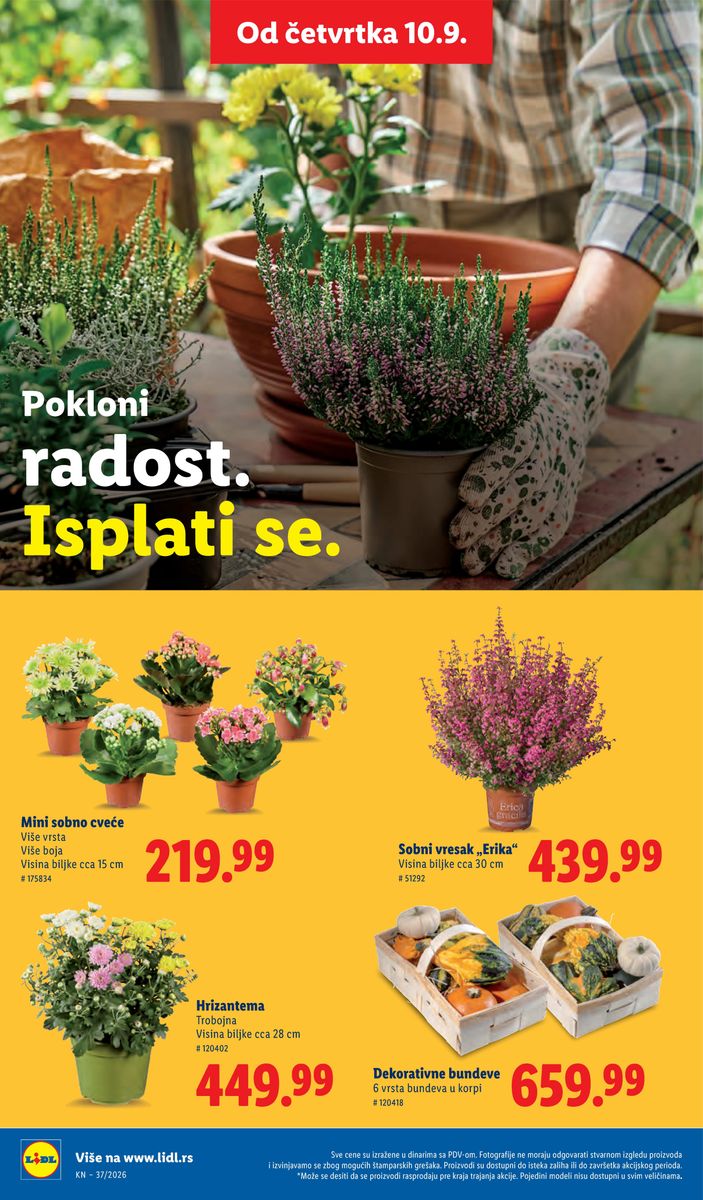 Lidl catalog page 60 — 2026-09-10 to 2026-09-16