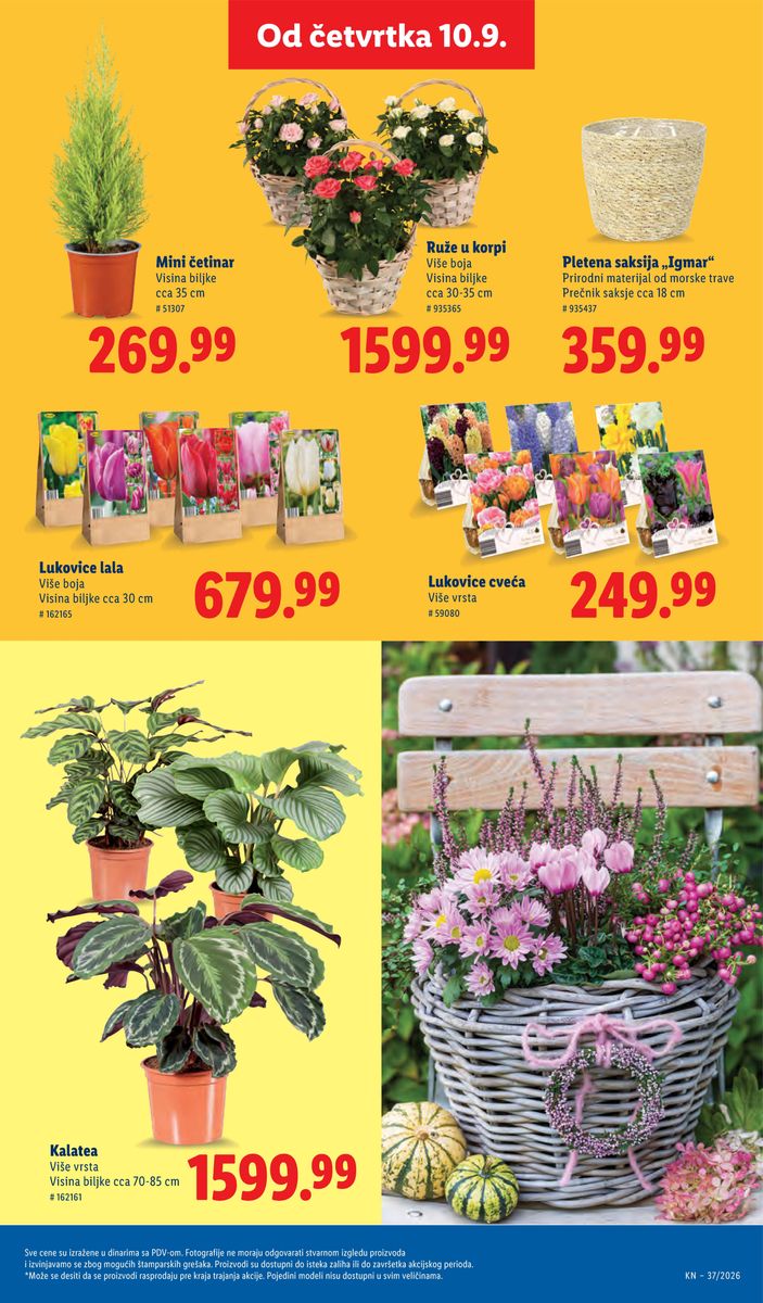 Lidl catalog page 61 — 2026-09-10 to 2026-09-16