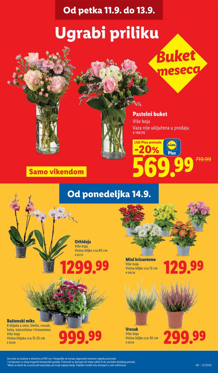 Lidl catalog page 63 — 2026-09-10 to 2026-09-16