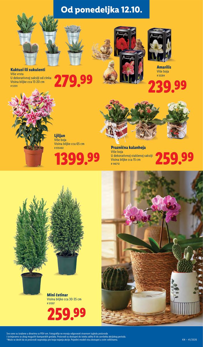 Lidl catalog page 75 — 2026-10-08 to 2026-10-14