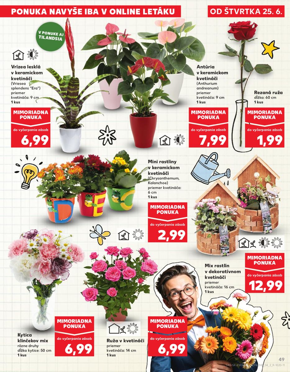 Kaufland catalog page 49 — 2026-06-25 to 2026-07-01