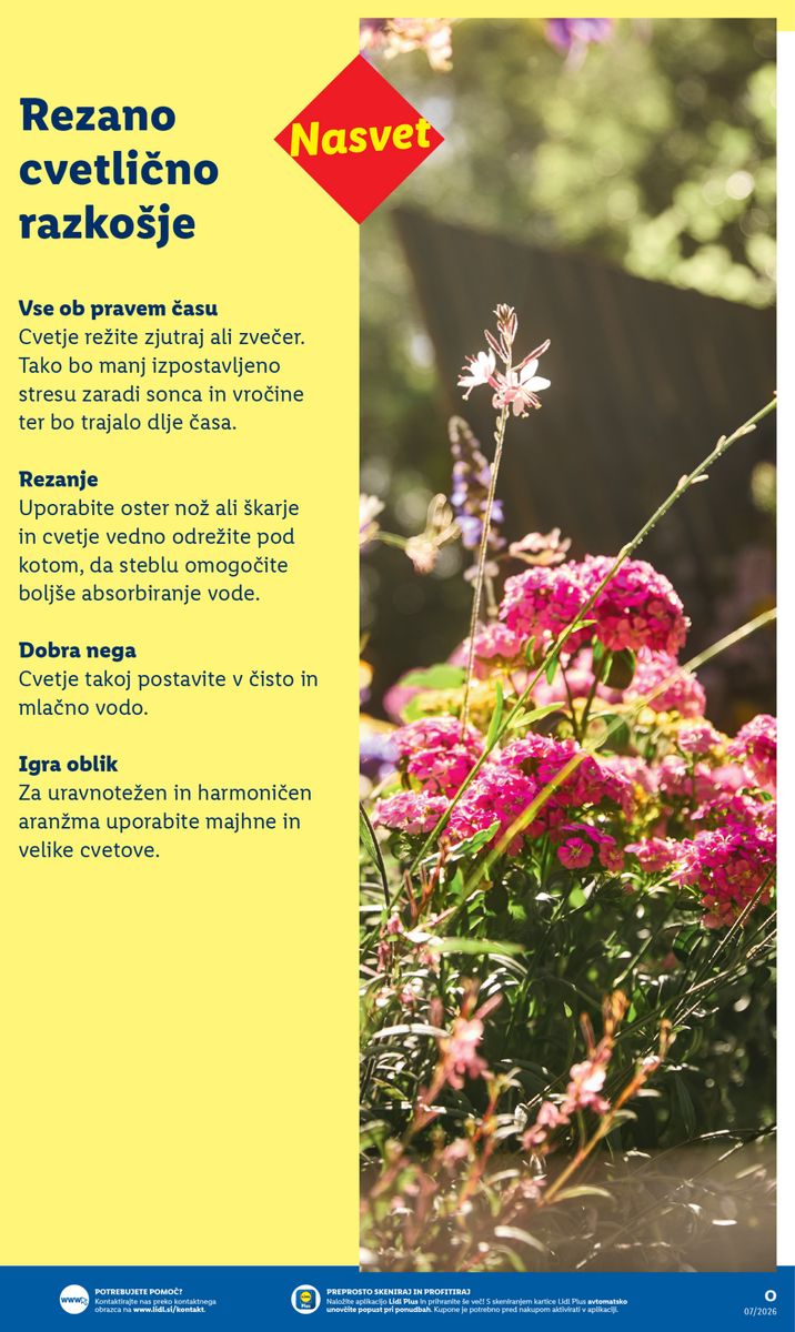 Lidl catalog page 5 — 2026-02-16 to 2026-05-31